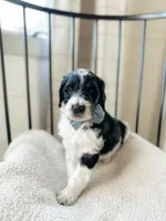 processed/0d008395-564e-4018-9904-dc9b890faaef/listing/559a67c7-f7c5-432d-86cd-4365917e4c3d/67acb7d6-3454-489e-9481-e08fe26d1388