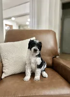 processed/0d008395-564e-4018-9904-dc9b890faaef/listing/559a67c7-f7c5-432d-86cd-4365917e4c3d/9aa1eca1-5d1e-41b2-961a-8ff7cbaaa723