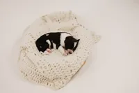 processed/0d008395-564e-4018-9904-dc9b890faaef/listing/559a67c7-f7c5-432d-86cd-4365917e4c3d/ade3d90e-dc72-4349-9448-43dc9258560e