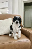 processed/0d008395-564e-4018-9904-dc9b890faaef/listing/559a67c7-f7c5-432d-86cd-4365917e4c3d/f7331276-1400-4d4a-8e57-6bdfb008e49b