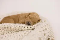 processed/0d008395-564e-4018-9904-dc9b890faaef/listing/fa0e9ec4-5d36-46f7-b300-00be2274832d/18e1e8d7-ae2e-4c50-a790-c38ae2dff286