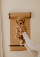 processed/0d008395-564e-4018-9904-dc9b890faaef/listing/fa0e9ec4-5d36-46f7-b300-00be2274832d/4726cb01-d7ad-49f4-8e49-03efad46131c