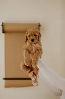 processed/0d008395-564e-4018-9904-dc9b890faaef/listing/fa0e9ec4-5d36-46f7-b300-00be2274832d/5b240a5c-66dd-45fa-89fe-43ea01db0c15