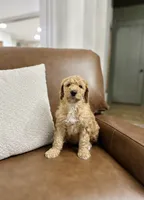 processed/0d008395-564e-4018-9904-dc9b890faaef/listing/fa0e9ec4-5d36-46f7-b300-00be2274832d/d278e5ec-9c6b-425a-9674-1c1c8f91b073