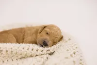 processed/0d008395-564e-4018-9904-dc9b890faaef/listing/fa0e9ec4-5d36-46f7-b300-00be2274832d/ec08f5b9-e911-4bb8-b3fa-f98f0cc2919f