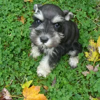 processed/0d04a601-7018-4b91-93d7-ced4491a03ee/facility/1b9dbb91-a9e6-4461-b2f8-3d14868f1191