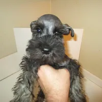 processed/0d04a601-7018-4b91-93d7-ced4491a03ee/facility/2400012e-145e-4d3e-9f24-c63a737918f9