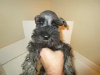 processed/0d04a601-7018-4b91-93d7-ced4491a03ee/facility/2400012e-145e-4d3e-9f24-c63a737918f9