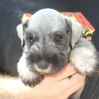 processed/0d04a601-7018-4b91-93d7-ced4491a03ee/facility/2d66f2c4-94a8-4d00-830d-9e831940d8bf