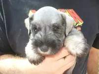 processed/0d04a601-7018-4b91-93d7-ced4491a03ee/facility/2d66f2c4-94a8-4d00-830d-9e831940d8bf