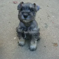 processed/0d04a601-7018-4b91-93d7-ced4491a03ee/facility/5cf95ce5-ea86-448e-ae35-5847697b8b5c