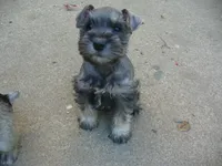 processed/0d04a601-7018-4b91-93d7-ced4491a03ee/facility/5cf95ce5-ea86-448e-ae35-5847697b8b5c