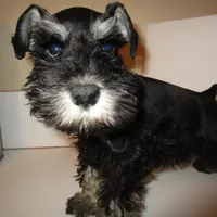 processed/0d04a601-7018-4b91-93d7-ced4491a03ee/facility/9348d10e-aadd-41bf-a072-eee1eb1f0f4b