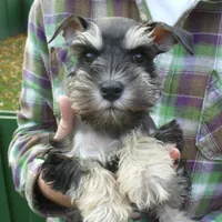 processed/0d04a601-7018-4b91-93d7-ced4491a03ee/facility/945ee760-2c4b-4cd0-b176-d8e7883922e1