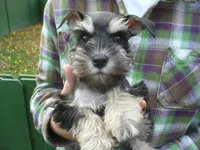 processed/0d04a601-7018-4b91-93d7-ced4491a03ee/facility/945ee760-2c4b-4cd0-b176-d8e7883922e1