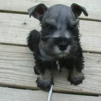 processed/0d04a601-7018-4b91-93d7-ced4491a03ee/facility/955eced8-d284-4718-85b7-47cf62da0b67