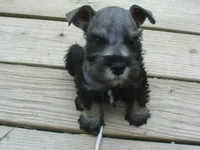 processed/0d04a601-7018-4b91-93d7-ced4491a03ee/facility/955eced8-d284-4718-85b7-47cf62da0b67