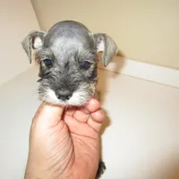 processed/0d04a601-7018-4b91-93d7-ced4491a03ee/facility/ae98d285-7449-49e2-8646-5fa8d3ea2674