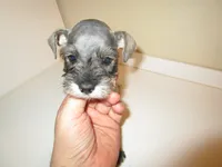 processed/0d04a601-7018-4b91-93d7-ced4491a03ee/facility/ae98d285-7449-49e2-8646-5fa8d3ea2674