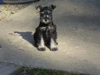 processed/0d04a601-7018-4b91-93d7-ced4491a03ee/facility/ed8d318b-fdef-4674-99ac-37f7a699ff4f