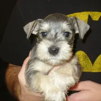 processed/0d04a601-7018-4b91-93d7-ced4491a03ee/facility/f4b52648-f77b-4ba3-b8ca-5fc3c392d350