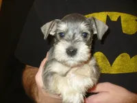 processed/0d04a601-7018-4b91-93d7-ced4491a03ee/facility/f4b52648-f77b-4ba3-b8ca-5fc3c392d350