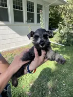 processed/0d04a601-7018-4b91-93d7-ced4491a03ee/listing/86c427e7-603e-48c8-9fee-827f65cb7b45/1fc32df8-77a0-442d-81ba-37e012eb0a3c