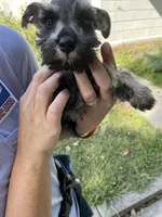 processed/0d04a601-7018-4b91-93d7-ced4491a03ee/listing/86c427e7-603e-48c8-9fee-827f65cb7b45/39f23a31-99fa-442f-bdba-673a37fd7fca