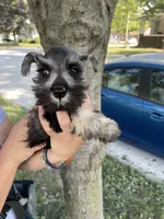 processed/0d04a601-7018-4b91-93d7-ced4491a03ee/listing/86c427e7-603e-48c8-9fee-827f65cb7b45/c6c61ce5-3abf-4122-bc43-6f0f7d9f539b