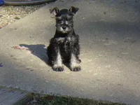 processed/0d04a601-7018-4b91-93d7-ced4491a03ee/listing/b9744d9a-116d-4454-a9f7-8e1c12b1f368/fc6384b7-a026-40b5-8c82-bd1d1db353b4