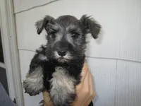 processed/0d04a601-7018-4b91-93d7-ced4491a03ee/listing/ba5b4d13-a763-4c97-8316-a3a052d6970f/211f028a-8daf-4615-9084-56f665aabd25