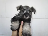 processed/0d04a601-7018-4b91-93d7-ced4491a03ee/listing/ba5b4d13-a763-4c97-8316-a3a052d6970f/defc4d44-f6ea-4067-9d99-37afc3dd2f0f