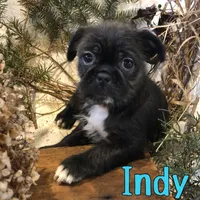 processed/0d2c4343-32e7-42b9-a680-8675387c7da8/listing/076c0902-050c-4ae5-a69b-d24bbd719e2f/5705088c-3ab9-4174-b3ae-c19accb8783f