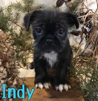 processed/0d2c4343-32e7-42b9-a680-8675387c7da8/listing/076c0902-050c-4ae5-a69b-d24bbd719e2f/eecf6ca4-8e42-4124-8d15-6b080cf3f4d1