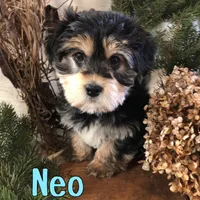 processed/0d2c4343-32e7-42b9-a680-8675387c7da8/listing/0bbb8a36-5f49-46e9-b729-a6e23bb7f71a/14b832db-4399-41dd-b3fe-273faf84cbf2