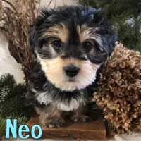 processed/0d2c4343-32e7-42b9-a680-8675387c7da8/listing/0bbb8a36-5f49-46e9-b729-a6e23bb7f71a/2c9e803a-6eb1-471c-a919-bba2dd7daead