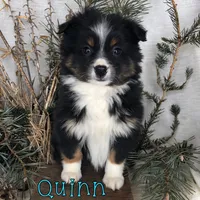 processed/0d2c4343-32e7-42b9-a680-8675387c7da8/listing/19579e20-5f4f-496a-b899-2e103137bce0/538c119f-fe2e-42cc-a18f-8290f9ca9687