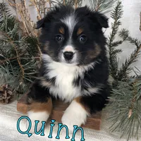 processed/0d2c4343-32e7-42b9-a680-8675387c7da8/listing/19579e20-5f4f-496a-b899-2e103137bce0/b3ee83e5-fc9c-4409-9403-229e94b397f2