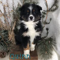 processed/0d2c4343-32e7-42b9-a680-8675387c7da8/listing/19579e20-5f4f-496a-b899-2e103137bce0/f46bead9-f645-4423-a9eb-77f948ebafde