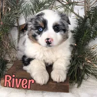 processed/0d2c4343-32e7-42b9-a680-8675387c7da8/listing/1b68c27e-a903-4b00-bb3a-31fd5c1fab79/47681a53-3477-4bbe-ade4-08ce1f306a4f