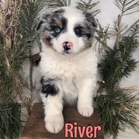 processed/0d2c4343-32e7-42b9-a680-8675387c7da8/listing/1b68c27e-a903-4b00-bb3a-31fd5c1fab79/7d1a929f-fd3b-4f3c-8901-29aa131bfac9