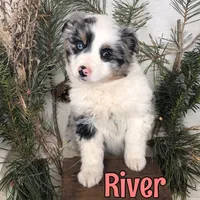 processed/0d2c4343-32e7-42b9-a680-8675387c7da8/listing/1b68c27e-a903-4b00-bb3a-31fd5c1fab79/889e6e34-f30c-4723-aafe-21bbf552d519