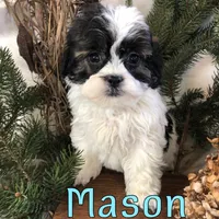 processed/0d2c4343-32e7-42b9-a680-8675387c7da8/listing/26cfdc4e-48b2-4519-ae60-822825f4cf86/f596dfc0-5ee1-4359-93fe-f5069382d5d2