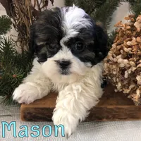 processed/0d2c4343-32e7-42b9-a680-8675387c7da8/listing/26cfdc4e-48b2-4519-ae60-822825f4cf86/fef36161-5a10-42a4-97e9-abcacc0a5b3e