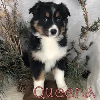 processed/0d2c4343-32e7-42b9-a680-8675387c7da8/listing/28612e39-d3ae-4dae-a81f-7c303e579711/b50cceff-553a-4bae-9227-1411ab5eff20