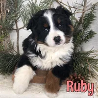 processed/0d2c4343-32e7-42b9-a680-8675387c7da8/listing/65a658d5-94d1-40ea-aeed-b1259ef0d366/f492e3af-6b00-4500-8a2a-a92b9b90daf6