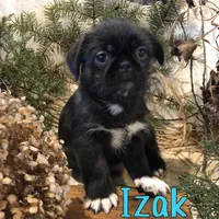 processed/0d2c4343-32e7-42b9-a680-8675387c7da8/listing/8c13e2f2-cb53-4078-889f-edcf288e1b63/4914bdf9-8423-41b1-a5af-9496e4d5e217