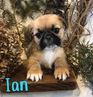 processed/0d2c4343-32e7-42b9-a680-8675387c7da8/listing/8e36da93-d458-4d76-a1f1-c5896cde9152/78a4b6c6-e873-4d06-9aee-7ff789ebf29e