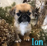 processed/0d2c4343-32e7-42b9-a680-8675387c7da8/listing/8e36da93-d458-4d76-a1f1-c5896cde9152/d1d52021-ed71-4118-a12c-32f39397c9cc