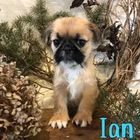 processed/0d2c4343-32e7-42b9-a680-8675387c7da8/listing/8e36da93-d458-4d76-a1f1-c5896cde9152/f6ef4391-9786-4c62-992c-a875da092066